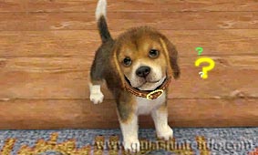 Nintendogs + Cats (3DS)