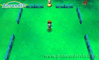 Story of Seasons