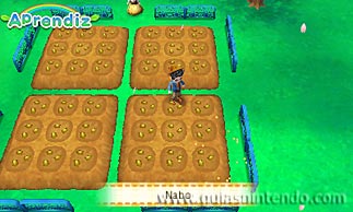 Story of Seasons