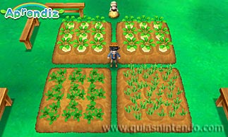 Story of Seasons