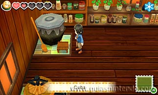 Story of Seasons