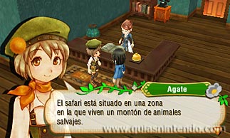 Story of Seasons