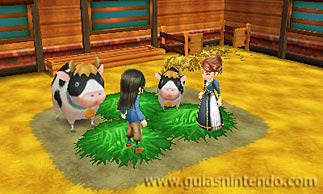 Story of Seasons