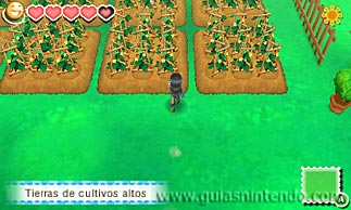 Story of Seasons