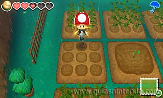 Story of Seasons