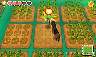 Story of Seasons