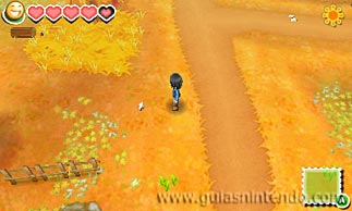 Story of Seasons