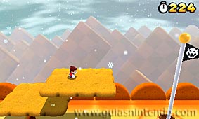 SUPER MARIO 3D LAND