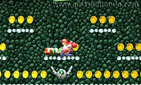 Yoshi's New Island