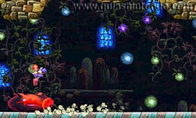 Yoshi's New Island