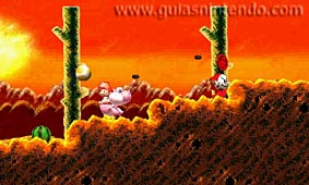 Yoshi's New Island