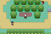 Pokémon Edición Esmeralda