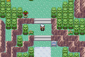 Pokémon Edición Esmeralda