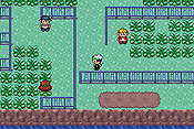 Pokémon Edición Esmeralda