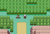 Pokémon Edición Esmeralda