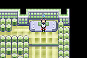 Pokémon Edición Esmeralda