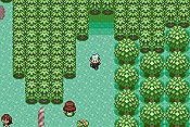 Pokémon Edición Esmeralda