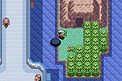 Pokémon Edición Esmeralda