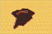 Final Fantasy IV