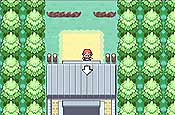 pokémon Rojo Fuego y Verde Hoja