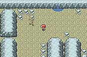 pokémon Rojo Fuego y Verde Hoja
