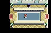 pokémon Rojo Fuego y Verde Hoja