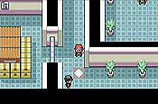 pokémon Rojo Fuego y Verde Hoja 