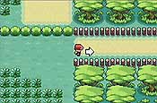 pokémon Rojo Fuego y Verde Hoja 