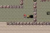pokémon Rojo Fuego y Verde Hoja