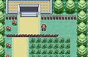 pokémon Rojo Fuego y Verde Hoja