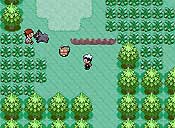 Pokémon rubí/zafiro