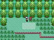 Pokémon rubí/zafiro