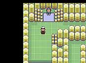 Pokémon rubí/zafiro