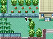 Pokémon rubí/zafiro