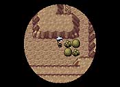 Pokémon rubí/zafiro