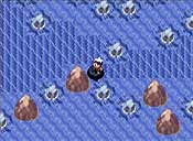 Pokémon rubí/zafiro