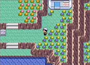 Pokémon rubí/zafiro