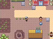 Pokémon rubí/zafiro