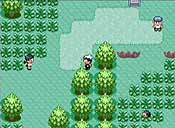 Pok&eacute;mon rub&iacute;/zafiro