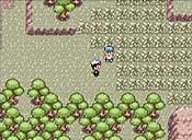 Pokémon rubí/zafiro