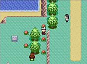 Pokémon rubí/zafiro