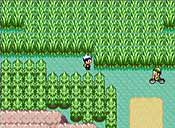 Pokémon rubí/zafiro