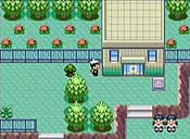 Pokémon rubí/zafiro
