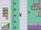 Pokémon rubí/zafiro