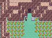 Pokémon rubí/zafiro