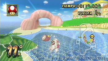 Mario Kart Wii