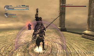 The Last Story