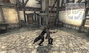 The Last Story