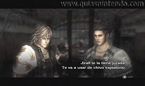 The Last Story