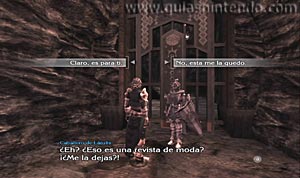 The Last Story